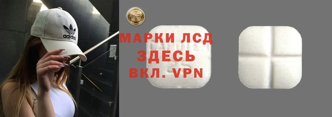 дживик Магадан